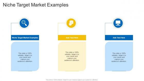 Niche Target Market Examples In Powerpoint And Google Slides Cpb