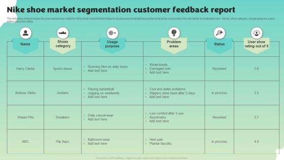 Nike Shoe Market Segmentation Customer Feedback Report