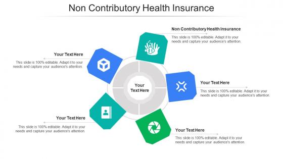 Non Contributory Health Insurance Ppt Powerpoint Presentation Portfolio Cpb