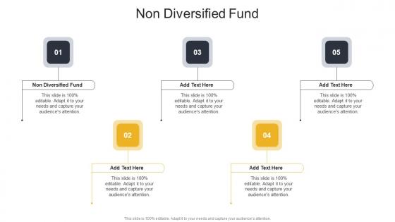 Non Diversified Fund In Powerpoint And Google Slides Cpb