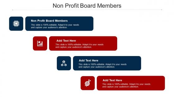 Non Profit Board Members Ppt Powerpoint Presentation Infographics Layouts Cpb