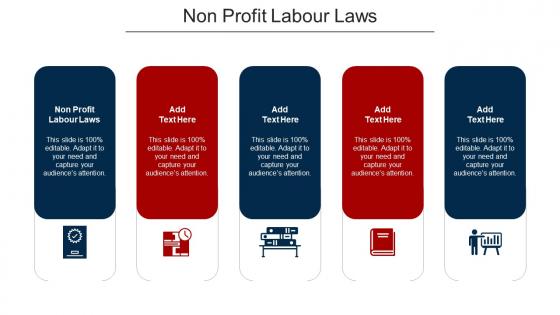Non Profit Labour Laws Ppt Powerpoint Presentation Infographic Template Elements Cpb