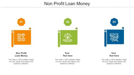 Non Profit Loan Money Ppt Powerpoint Presentation Infographics Infographics Cpb