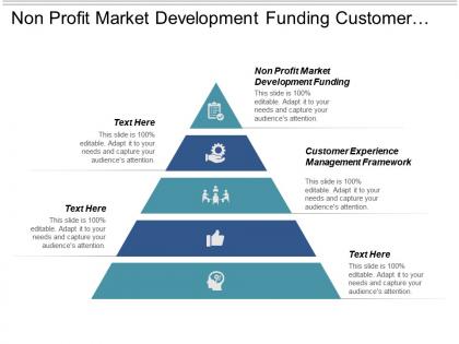Non profit market development funding customer experience management framework cpb