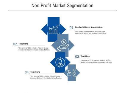 Non profit market segmentation ppt powerpoint presentation professional graphics example cpb