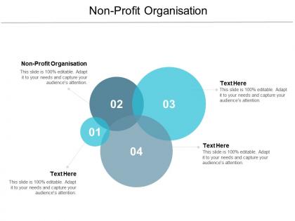 Non profit organisation ppt powerpoint presentation file smartart cpb
