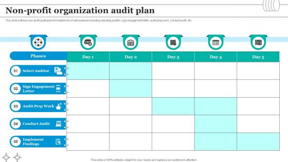 Non Profit Organization Audit Plan