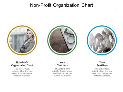 Non profit organization chart ppt powerpoint presentation professional format ideas cpb