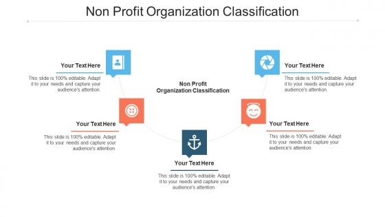 Non Profit Organization Classification Ppt Powerpoint Presentation Gallery Information Cpb