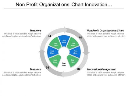 Non profit organizations chart innovation management project management cpb