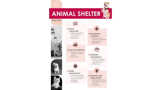 Non Profit Organizations For Animal Shelter
