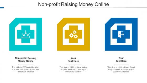 Non Profit Raising Money Online Ppt Powerpoint Presentation Gallery Show Cpb