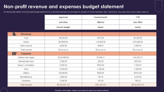 Non Profit Revenue And Expenses Budget Statement