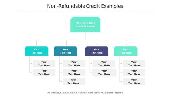 Non refundable credit examples ppt powerpoint presentation file portfolio cpb