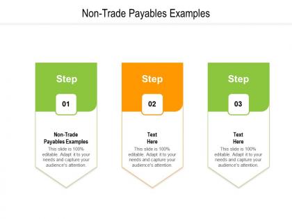 Non trade payables examples ppt powerpoint presentation icon infographics cpb