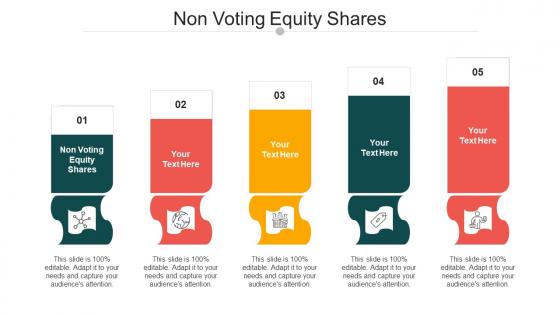 Non Voting Equity Shares Ppt Powerpoint Presentation Styles Themes Cpb