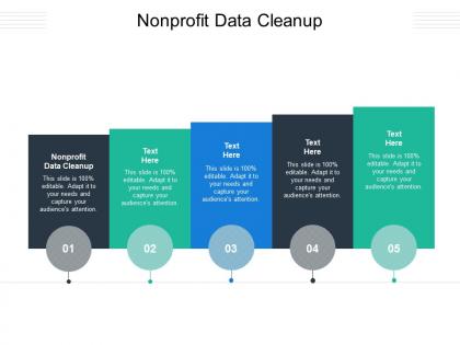Nonprofit data cleanup ppt powerpoint presentation outline professional cpb
