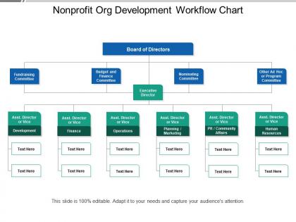 Nonprofit org development workflow chart