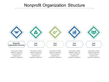 Nonprofit organization structure ppt powerpoint presentation infographics model cpb