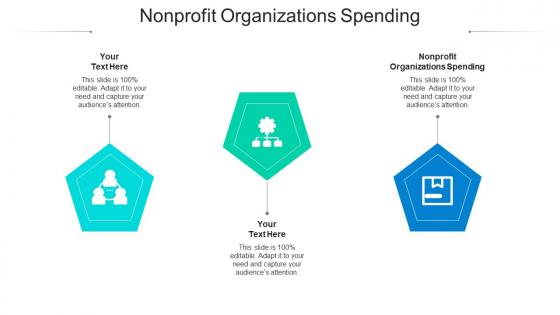 Nonprofit organizations spending ppt powerpoint presentation professional layout cpb
