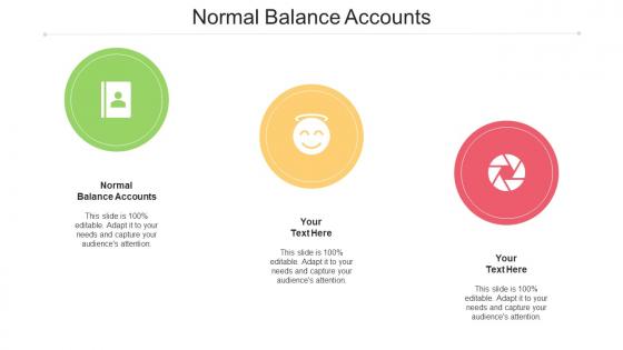 Normal Balance Accounts Ppt Powerpoint Presentation Portfolio Aids Cpb