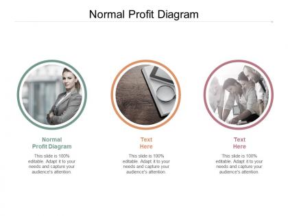 Normal profit diagram ppt powerpoint presentation inspiration good cpb