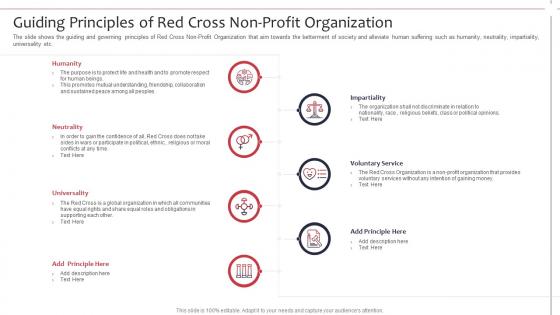 Not for profit organization strategies guiding principles of red cross non profit organization