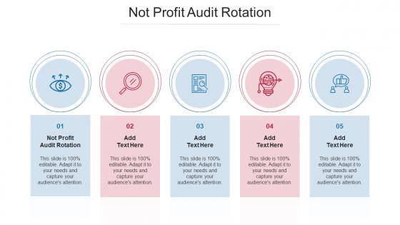 Not Profit Audit Rotation Ppt PowerPoint Presentation Ideas Summary Cpb