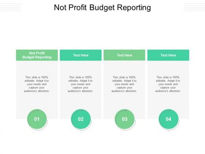 Not profit budget reporting ppt powerpoint presentation professional background designs cpb