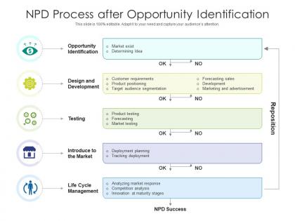 Npd process after opportunity identification
