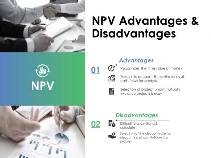 Npv ppt professional