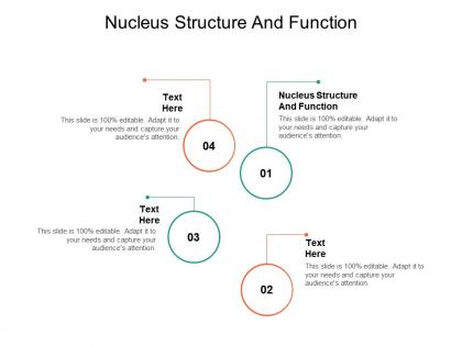 Nucleus structure and function ppt powerpoint presentation file professional cpb
