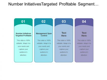 Number initiatives targeted profitable segment management span control