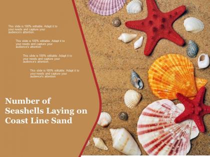 Number of seashells laying on coast line sand