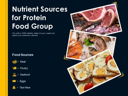 Nutrient sources for protein food group