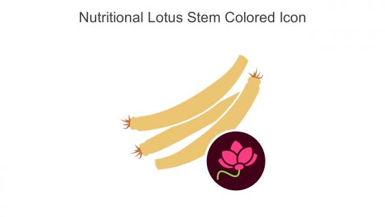 Nutritional Lotus Stem Colored Icon In Powerpoint Pptx Png And Editable Eps Format