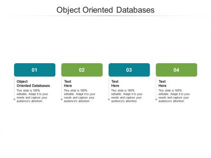 Object oriented databases ppt powerpoint presentation gallery show cpb