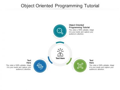 Object oriented programming tutorial ppt powerpoint presentation infographics layout cpb