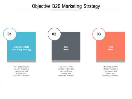 Objective b2b marketing strategy ppt powerpoint presentation infographics master slide cpb