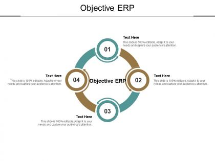Objective erp ppt powerpoint presentation summary demonstration cpb