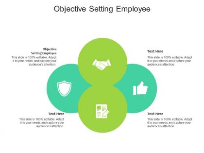 Objective setting employee ppt powerpoint presentation slides designs download cpb