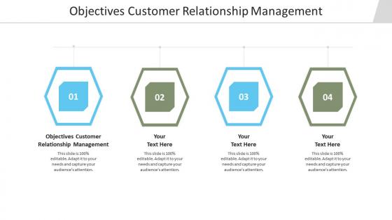 Objectives customer relationship management ppt powerpoint styles gallery cpb