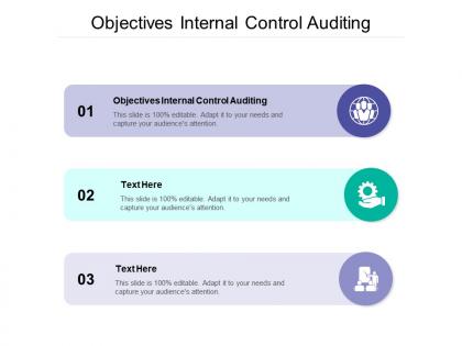 Objectives internal control auditing ppt powerpoint presentation template cpb