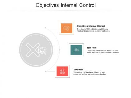 Objectives internal control ppt powerpoint presentation professional graphics cpb