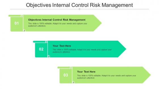Objectives Internal Control Risk Management Ppt Powerpoint Presentation Professional Show Cpb