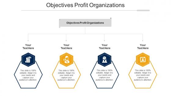 Objectives Profit Organizations Ppt Powerpoint Presentation Icon Slide Download Cpb