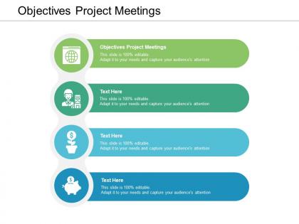 Objectives project meetings ppt powerpoint presentation examples cpb