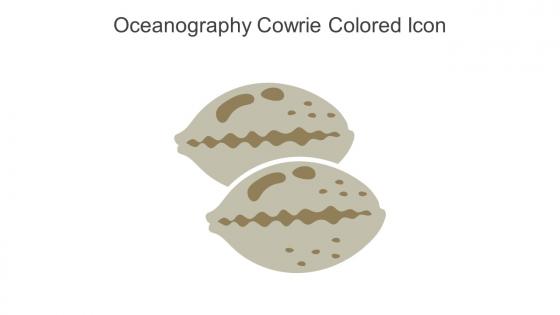 Oceanography Cowrie Colored Icon In Powerpoint Pptx Png And Editable Eps Format