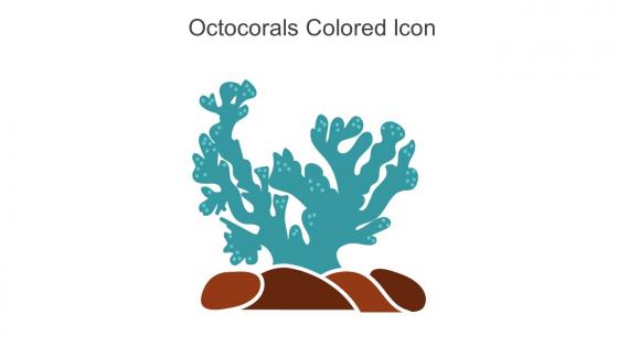 Octocorals Colored Icon In Powerpoint Pptx Png And Editable Eps Format