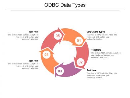 Odbc data types ppt powerpoint presentation styles layout ideas cpb